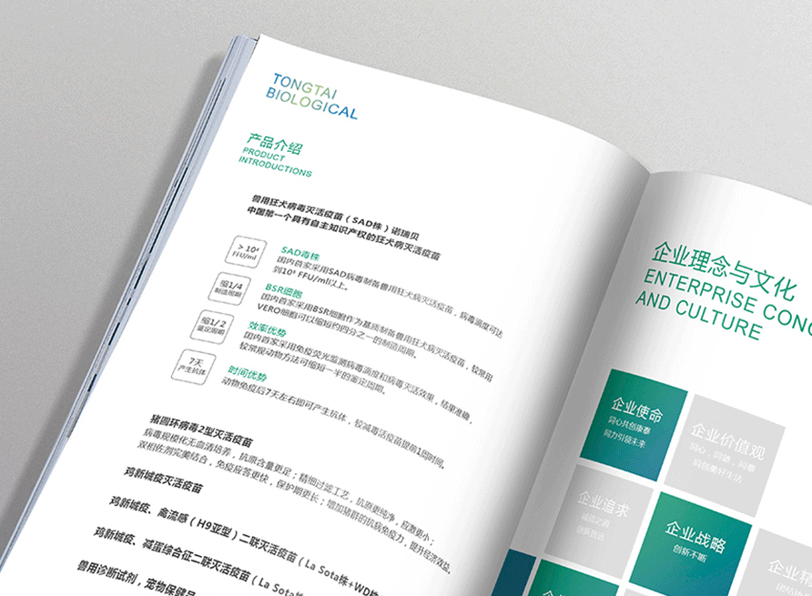 南京广告公司,南京画册设计,南京广告设计,南京宣传册设计,南京标志设计,南京LOGO设计,南京包装设计,南京网站设计,南京样本设计